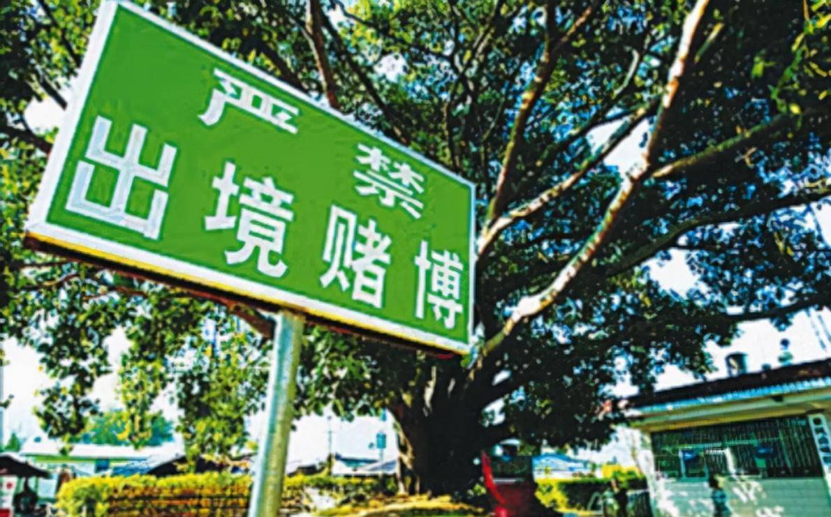 骗中国人去发财再当人质虐待,女赌徒下场更惨_缅甸_电话_内地