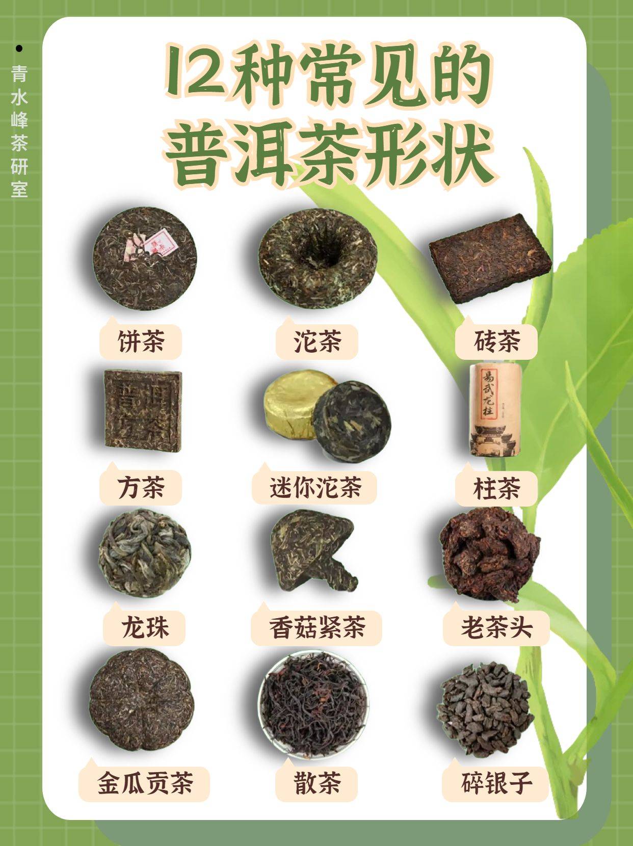 普洱茶形状这么多,该怎么选?∣青水峰_茶叶_沱茶_重量