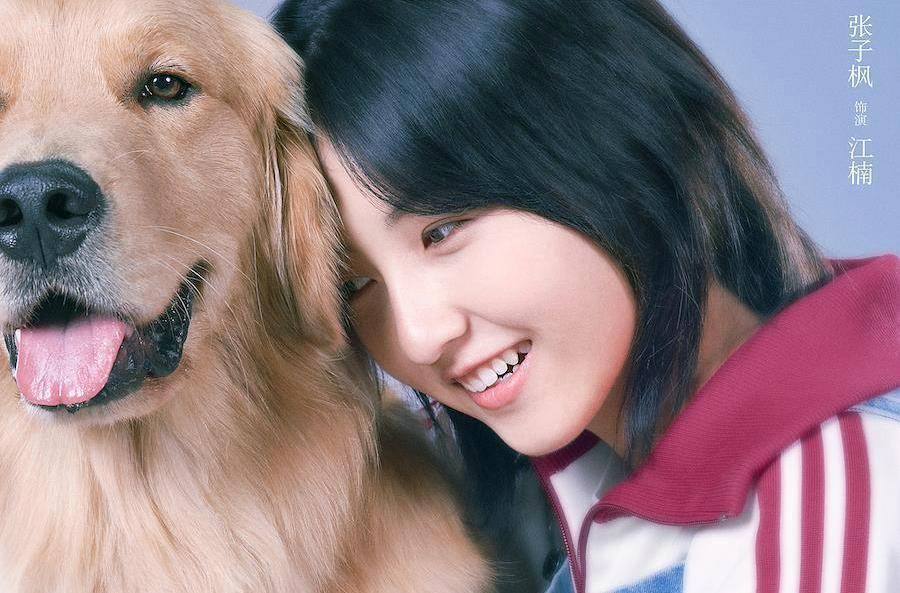 吴磊劈叉拥抱张子枫,偶像剧的颜值,喜剧的画风_实力派_故事_电影