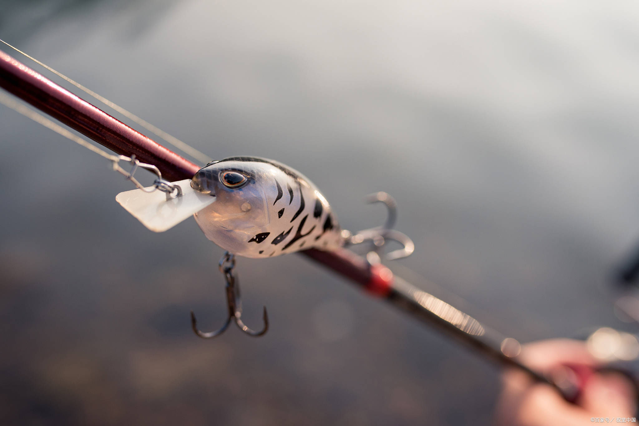 「威美特渔具」威海钓鱼竿之路亚人与鱼眼中的颜色_鳜鱼_水域_钓友