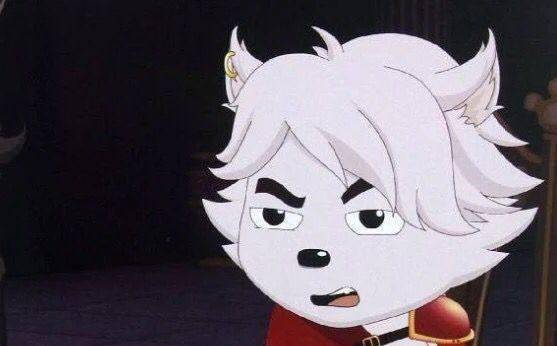 小白狼被小伙伴调侃是小白脸,不得不说论长相真的是狼群里数一数二的