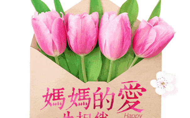 送给母亲的暖心祝福——独特的生日祝福语精选（送给母亲生日的句子）