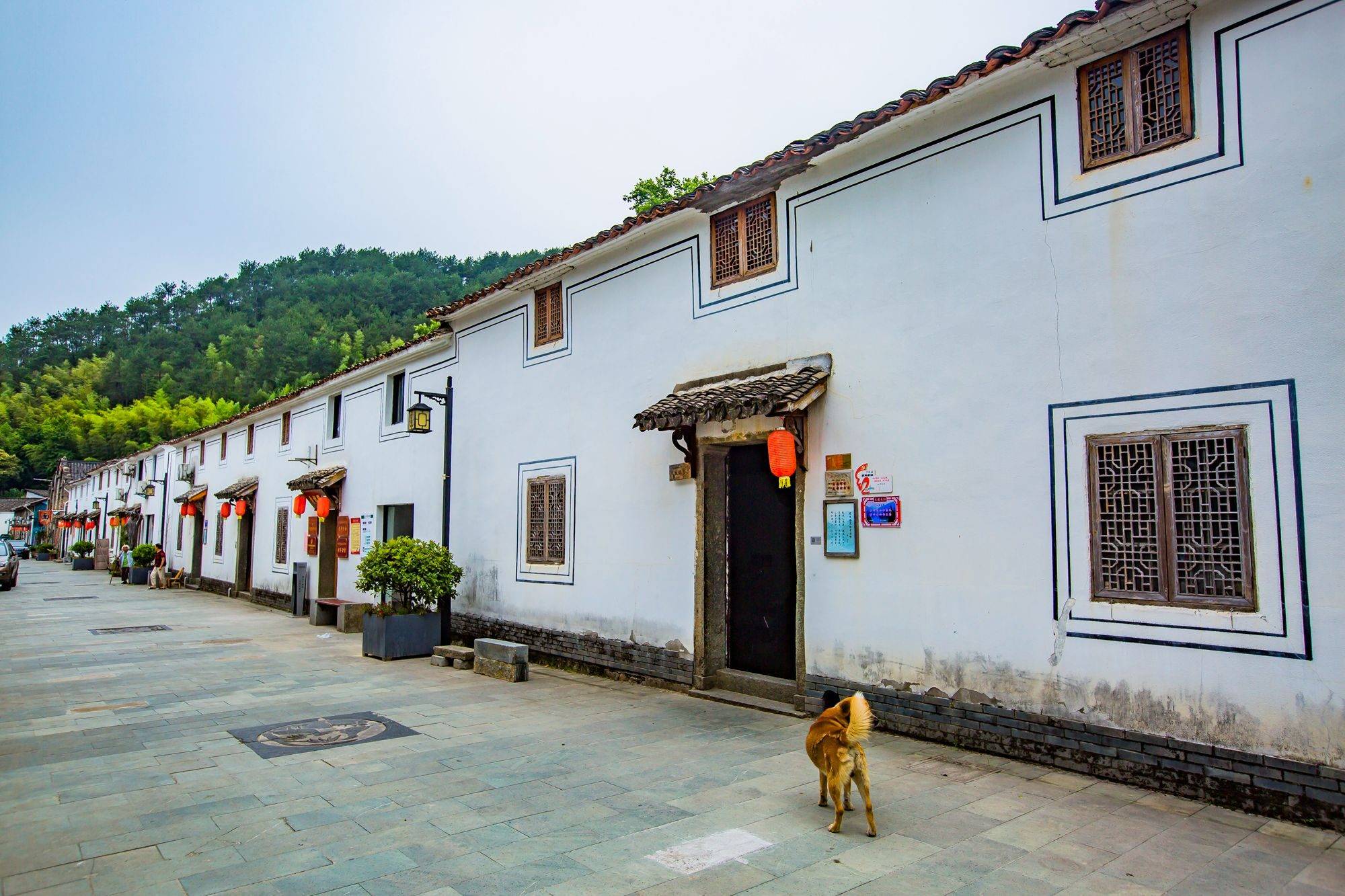 杭州桐庐有一座芦茨村,一半烟火,一半诗意,是避暑休闲的好去处