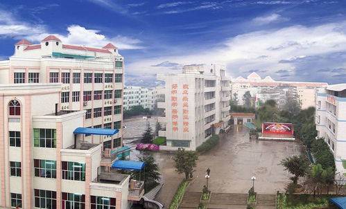 澧县城头山中等职业学校简介_专业_建设_维修