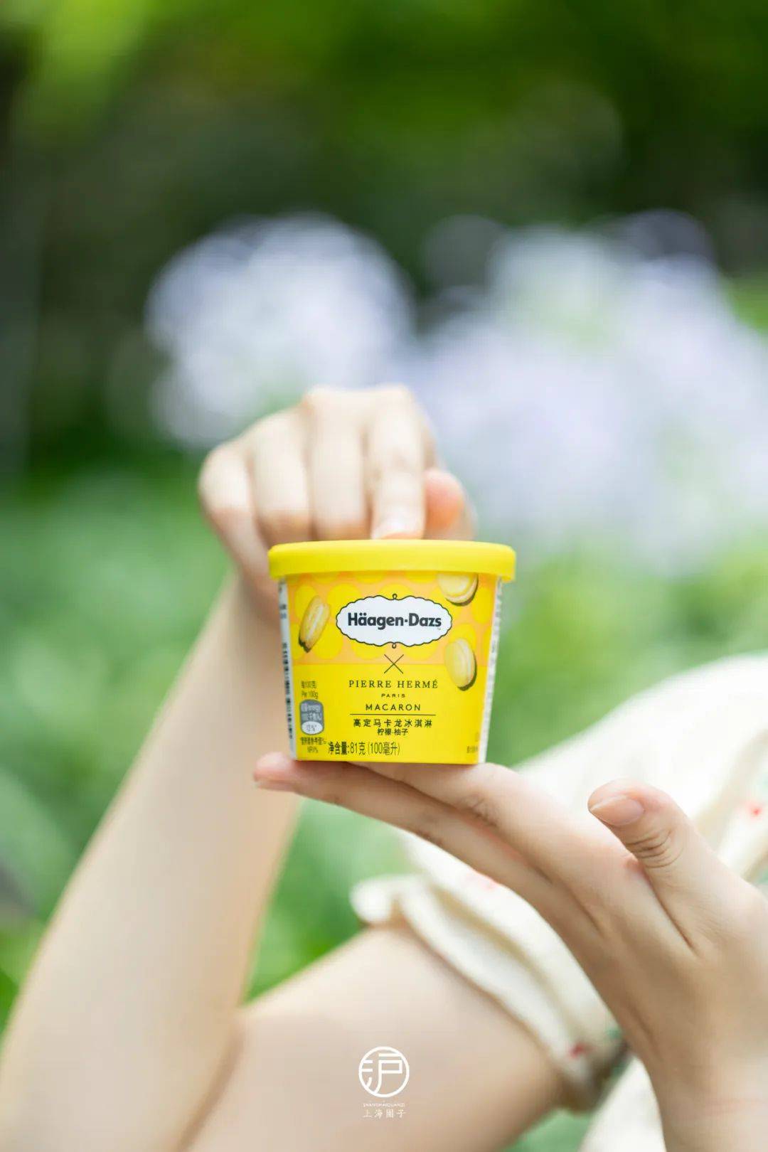哈根达斯带你开启舌尖上的「法式高定」盛宴_马卡龙_pierre_herm