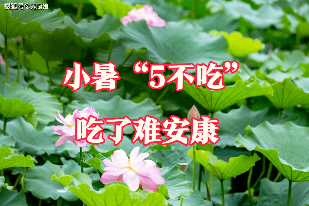 三伏天,要懂得忌口_食用_时节_豆角