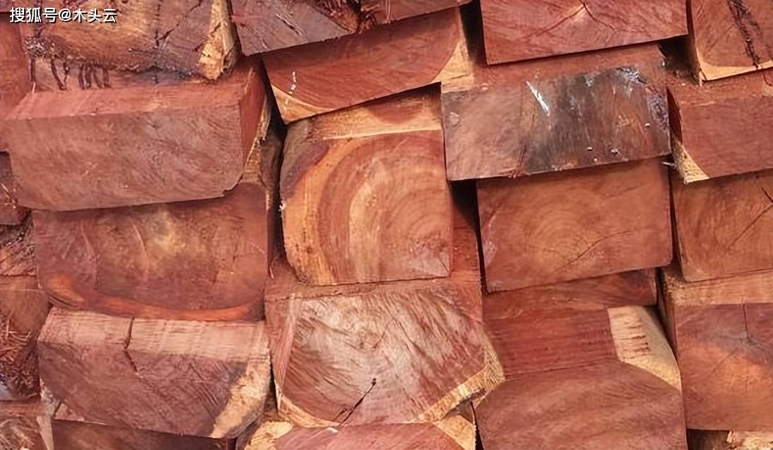 非洲开始用桉木替代奥古曼_加蓬_木材_进口