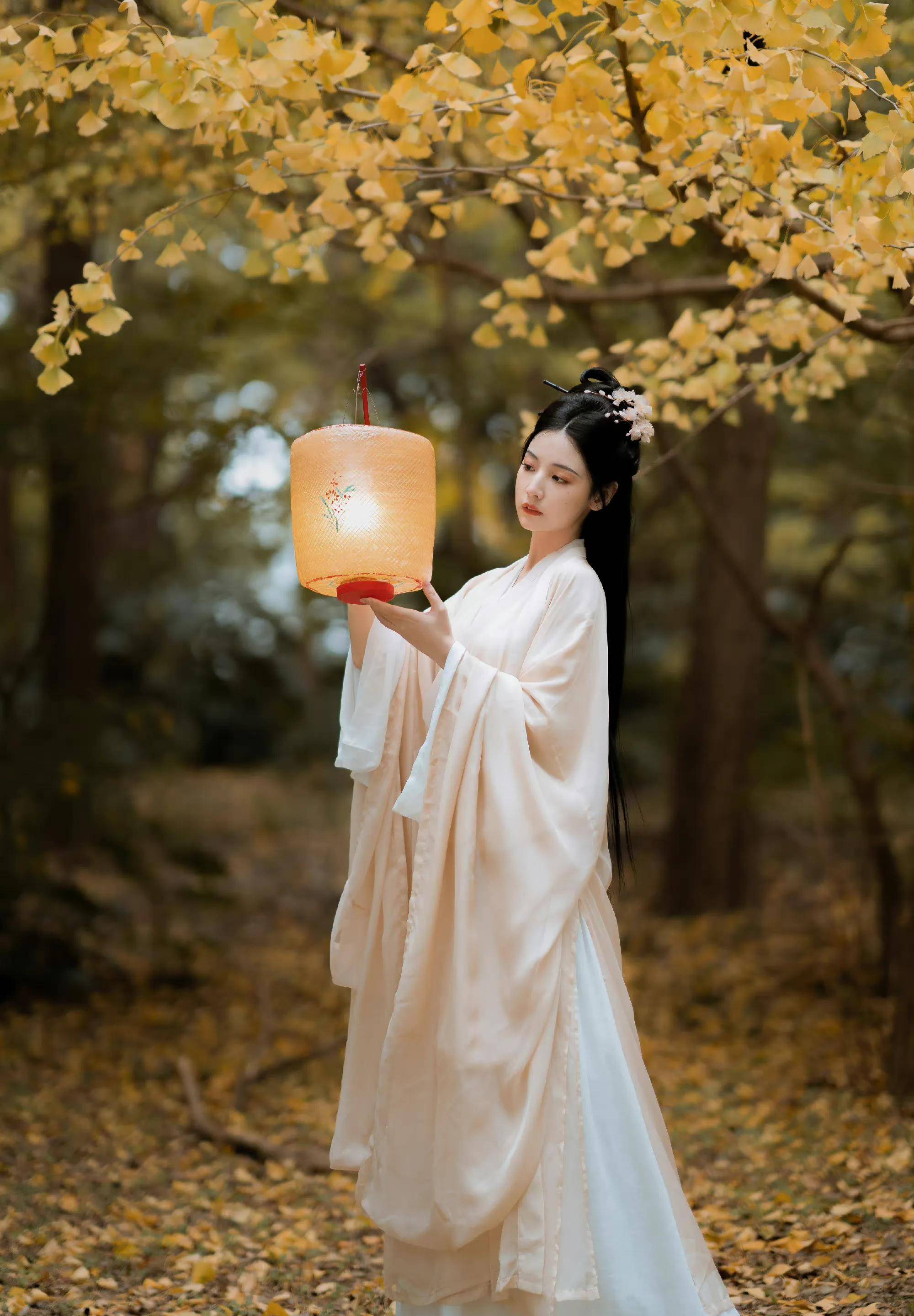 赵粤银杏树下古风写真,仙气飘飘,唯美浪漫,氛围感满满_灯笼_气氛_肖像