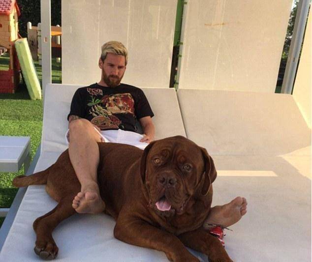 梅西晒老婆心情大好,胡尔克又被安东内拉"虐"_视频_院子_球迷