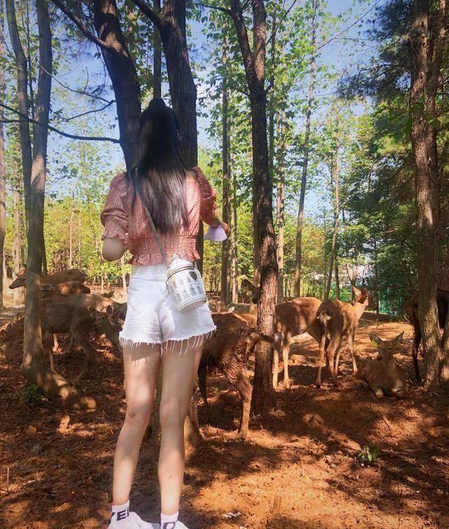 张常宁游玩,示爱吴冠希,腿上伤疤明显_照片_奥运会_职业球员