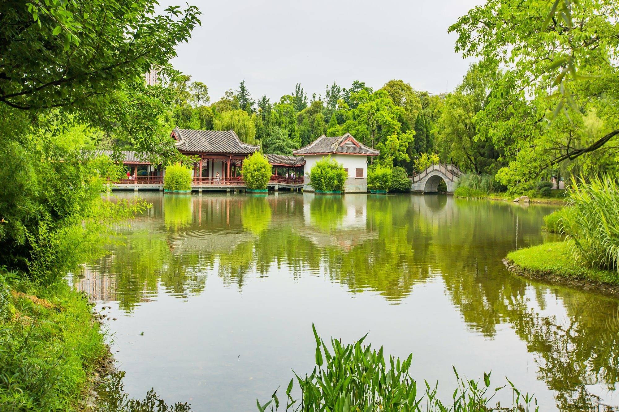 成都公园南郊图片