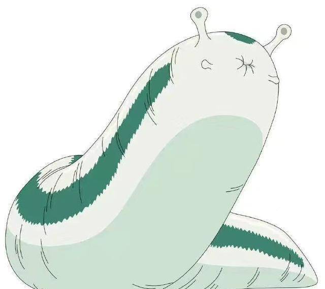 用不着召唤通灵兽,即便是需要这只乌龟的时候,凯也是用它来当垫脚石用