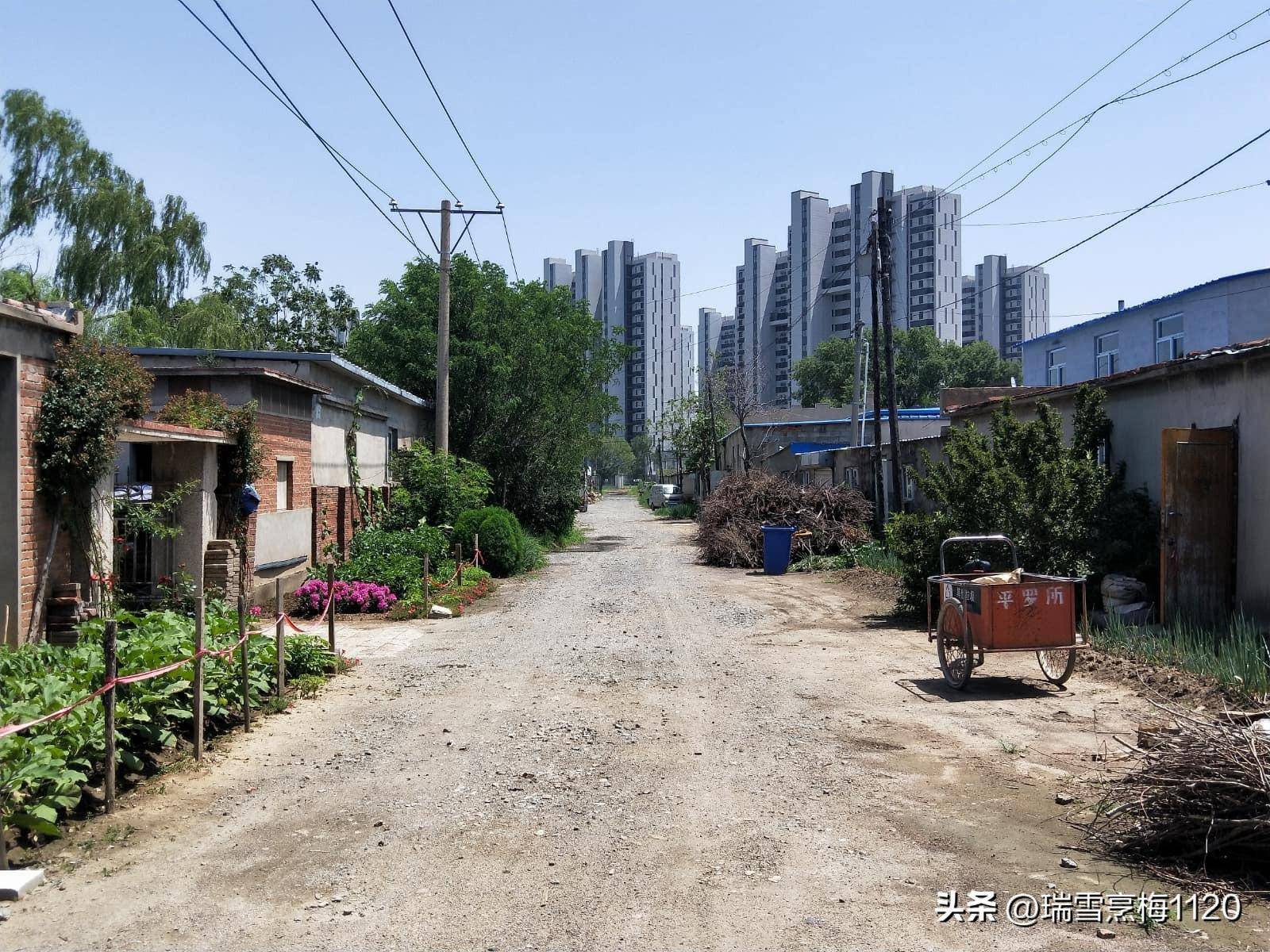 于洪区造化街道白家村 伯尔吉及特家族墓所在地_永济_阿尔沙兰_沈阳