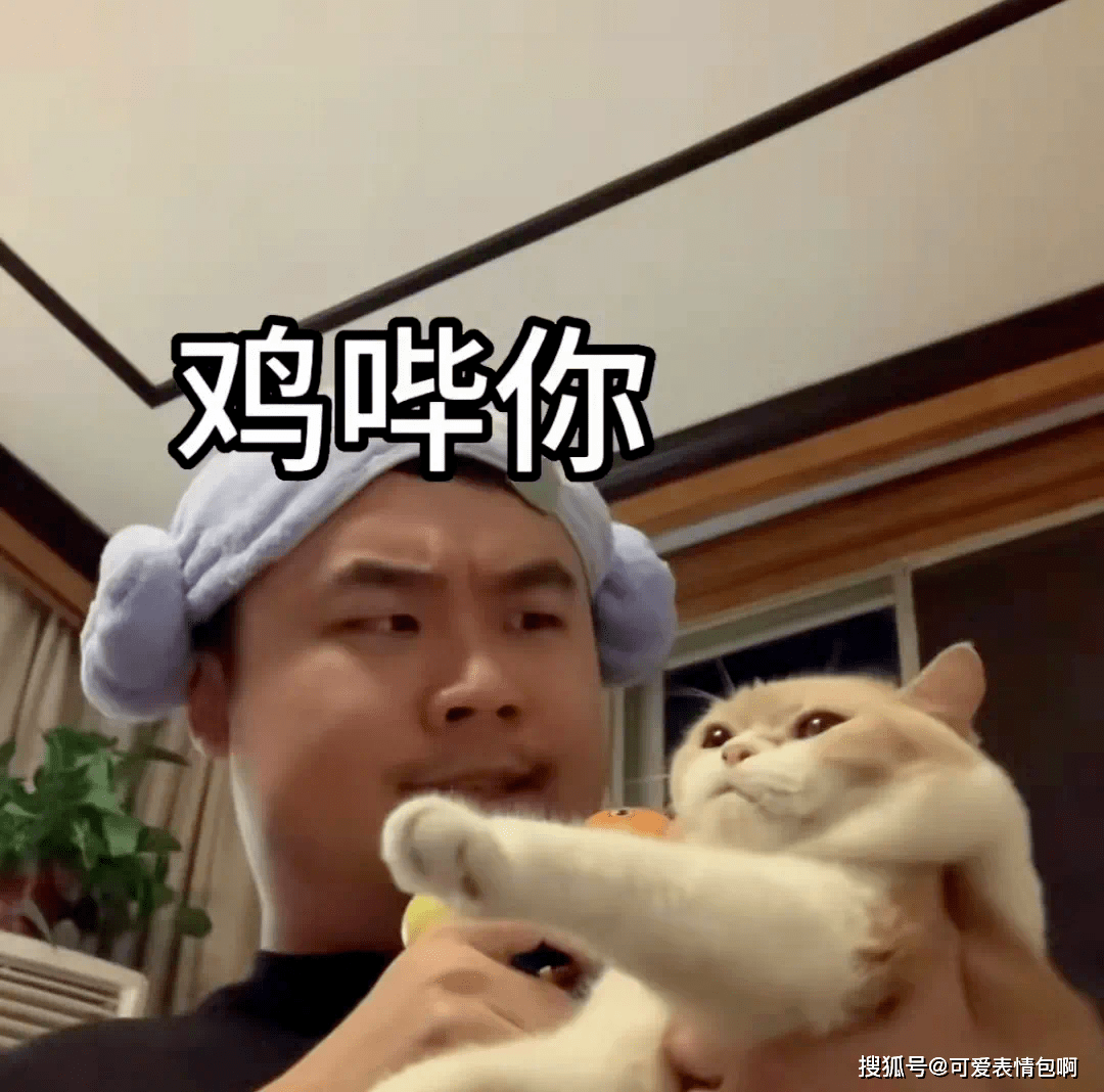 鸡哔你!表情包合集_侵权_网络_素材