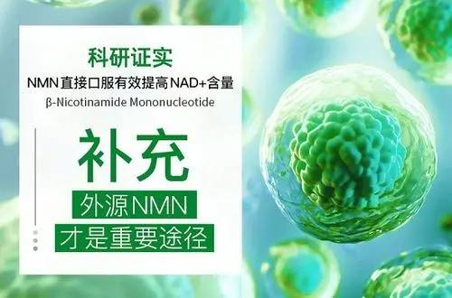 赫曼因NMN：诺奖得主打造的高纯度抗衰老佳品