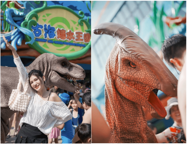 在森林海嬉水乐园来一场"恐龙奇遇记"(7.1-8.
