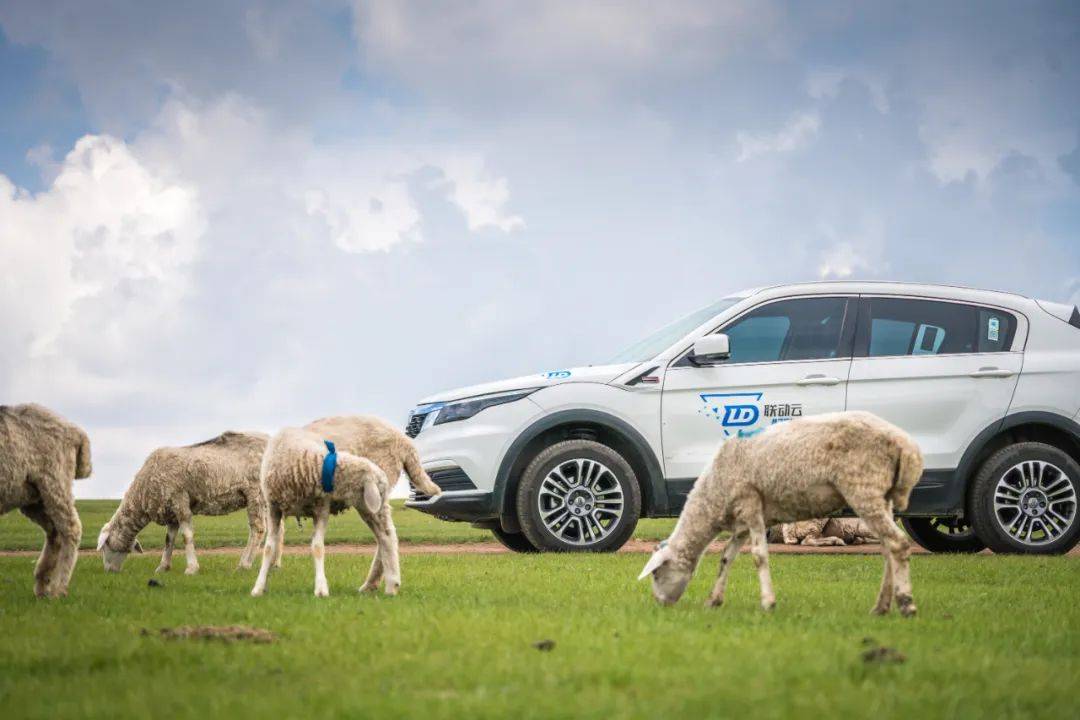 自驾攻略丨联动云租车带你畅游大西北_银川_西宁_兰州