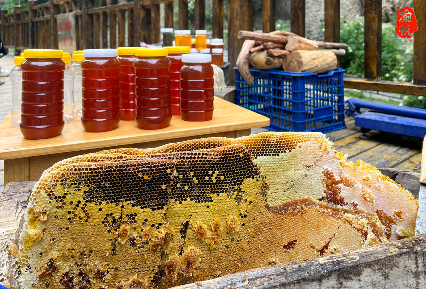 腊子口虽然是迭部最著名的两大景区之一,却不要门票,免费对游客开放