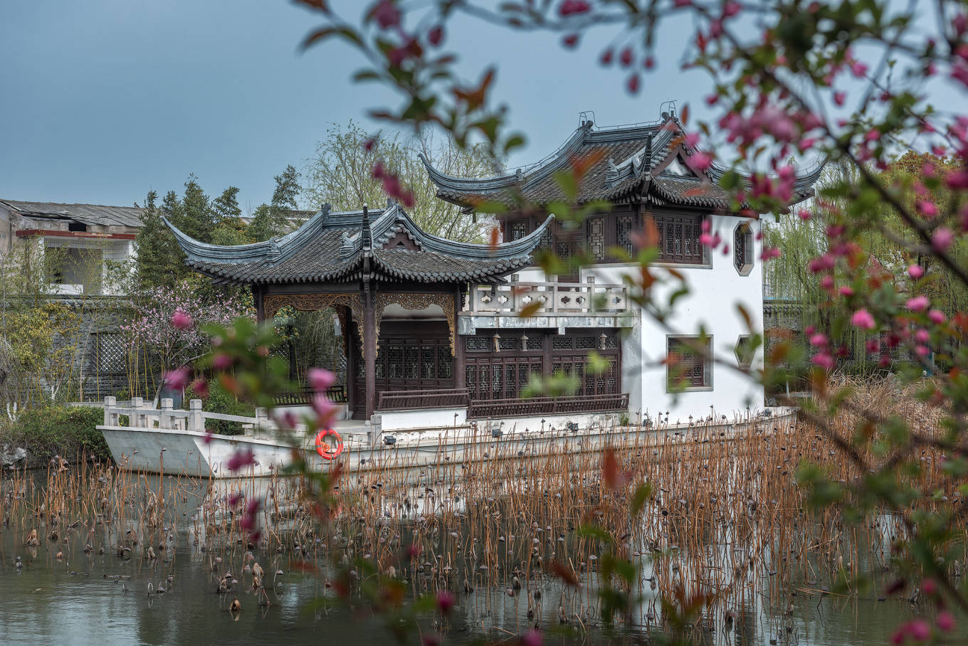 谢江,罗磊,刘韬 淮安府署后花园_花朵_衙门口_亭台楼阁