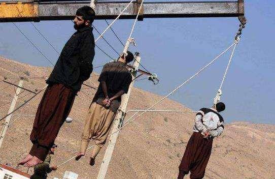 绞刑真正的死因是窒息?别再被骗了,网友:原来是这样_犯人_刑罚_死亡