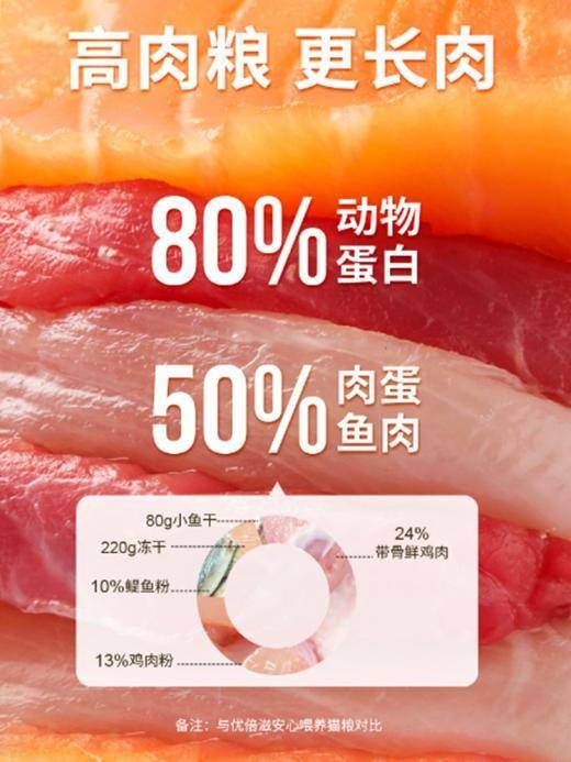 优倍滋：一款营养价值超高的冻干猫粮