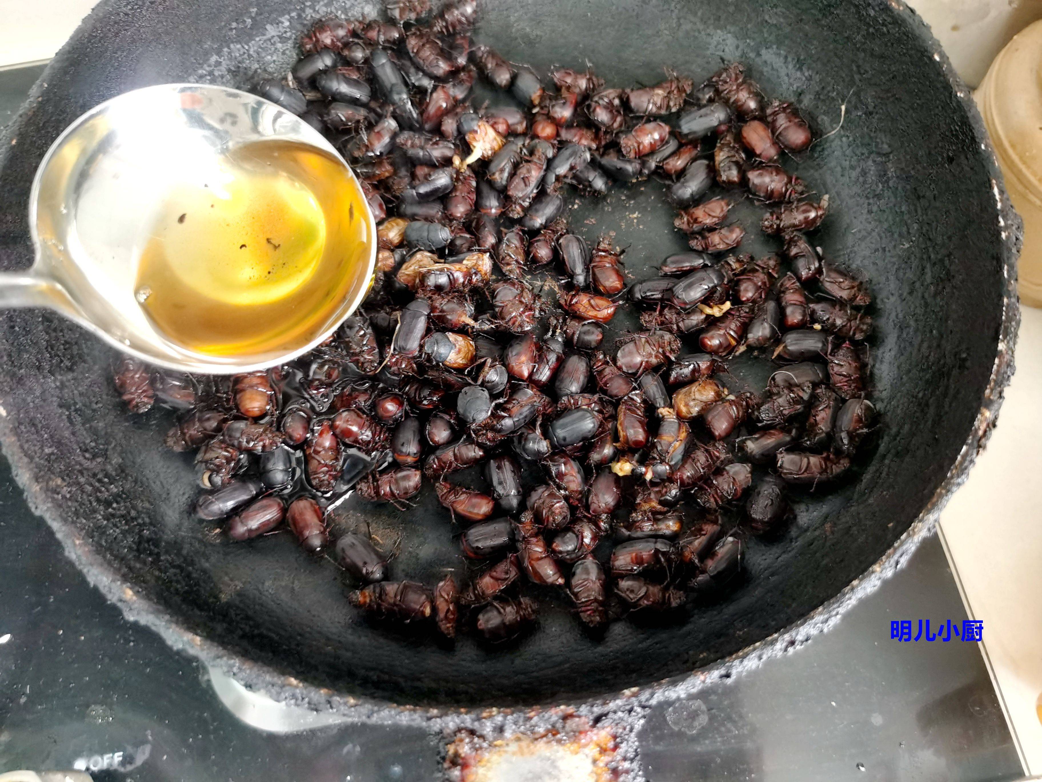 这虫黑乎乎不好看,但高蛋白低脂肪营养好,四块钱半斤炒一大盘