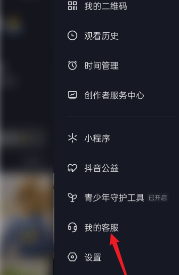 抖音直播伴侣添加文字的方法_在线_下文_用户