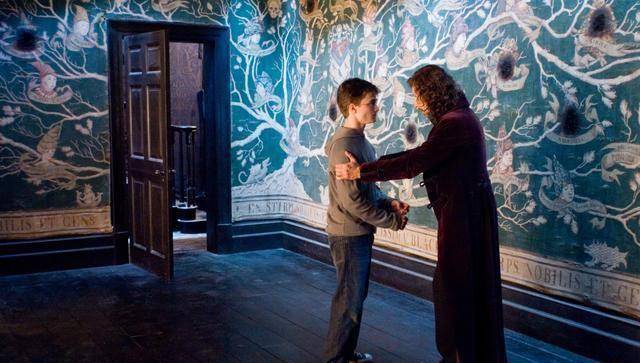 古老的布莱克,他们的消失绝对是魔法世界最大的损失_家族_影响_帷幔