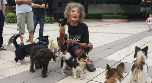 香港富二代郑六三:千万遗产挥霍一空,沦为流浪汉,终日与狗为伴_父母