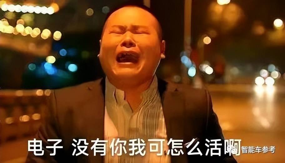 丰田在华召回全部纯电轿车!隐藏式门把手有致命缺陷_搜狐汽车_搜狐网