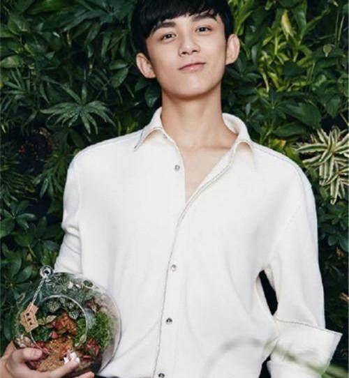 刘昊然和吴磊都很帅,但从他们穿衬衫的爱好上,看出不同性格!