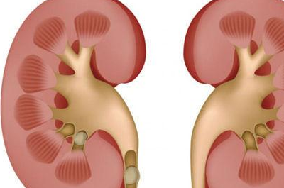 导致尿毒症的七大元凶,如果你有,尽快治疗!_疾病_功能_肾脏