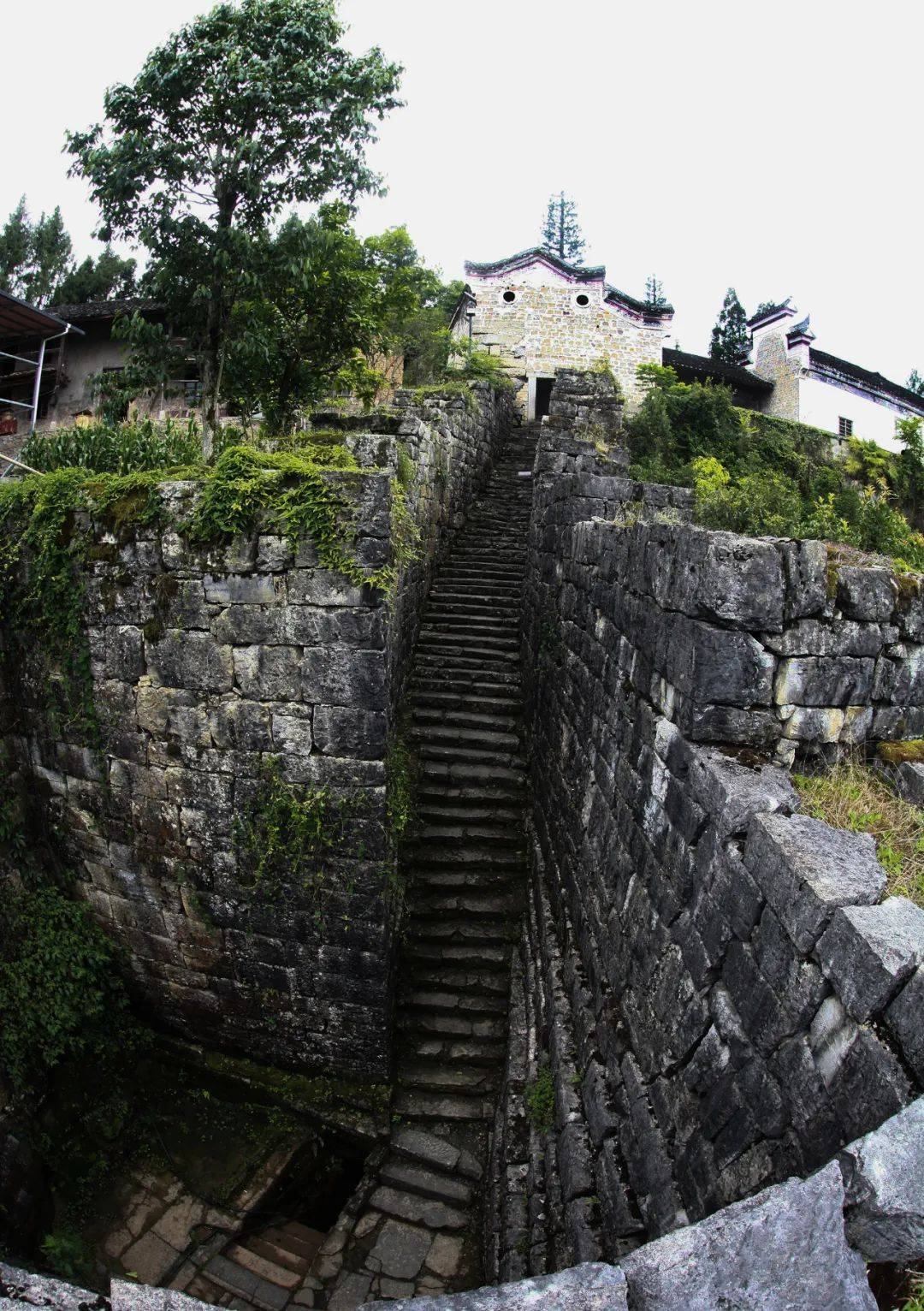 利川大水井景点简介图片