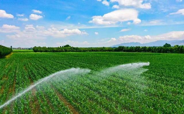 这个家庭农场又新购回2台jp75一300型卷盘式喷灌机,加快2400亩玉米