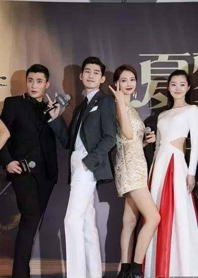 张翰是拿生命拥抱限韩令吗?