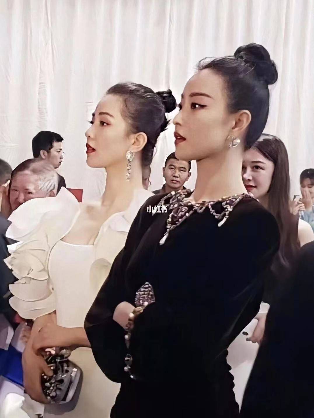 因为这部剧,刘诗诗和倪妮成为了很多人心中的黑白天鹅,合照中二人的