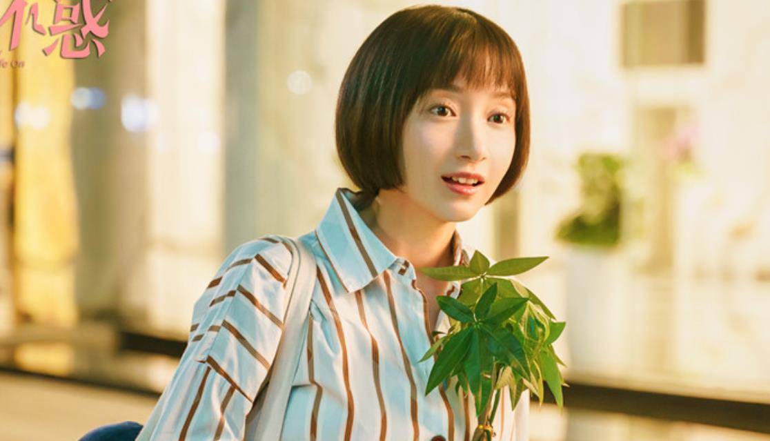 《二十不惑》的四位女主,为什么最不努力的,最后反而最幸福?