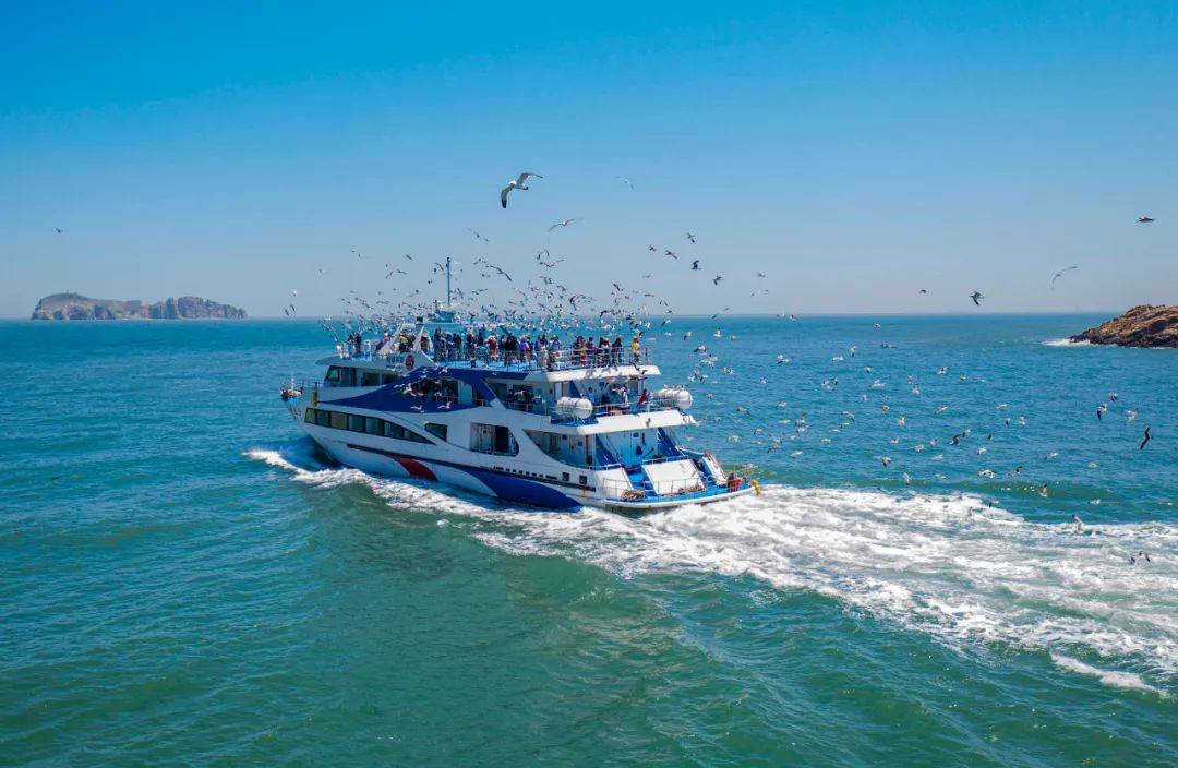 来荣成必逛的三处"最in山东打卡地"_动物_海驴岛_世界