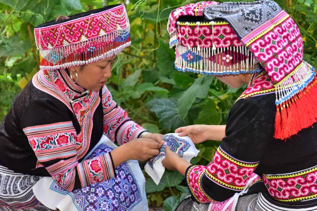乐享云南 | 非遗·屏边苗族刺绣