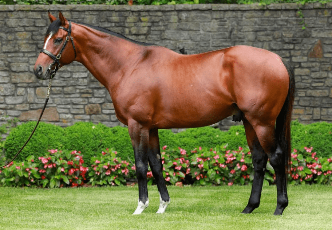 师,马匹和马主而言均是如此,但是赛马作为全球最为古老的运动项目之一