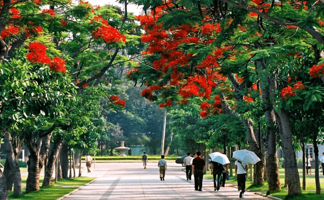 欧洲十大名校之一_欧洲名校排名_欧洲名校