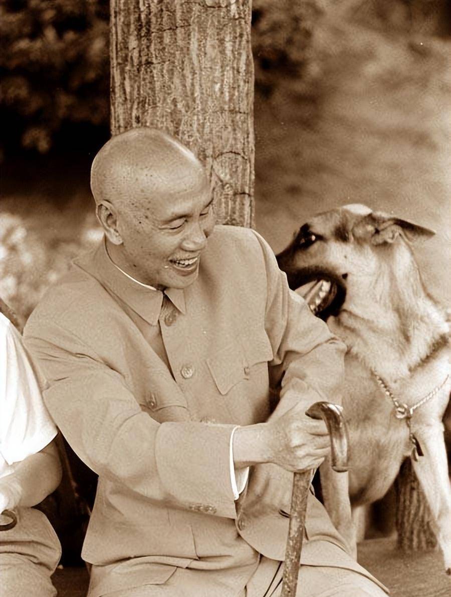 大陆却被拒绝,蒋孝勇直言:父亲晚年看错了此人_蒋介石_蒋经国_母亲