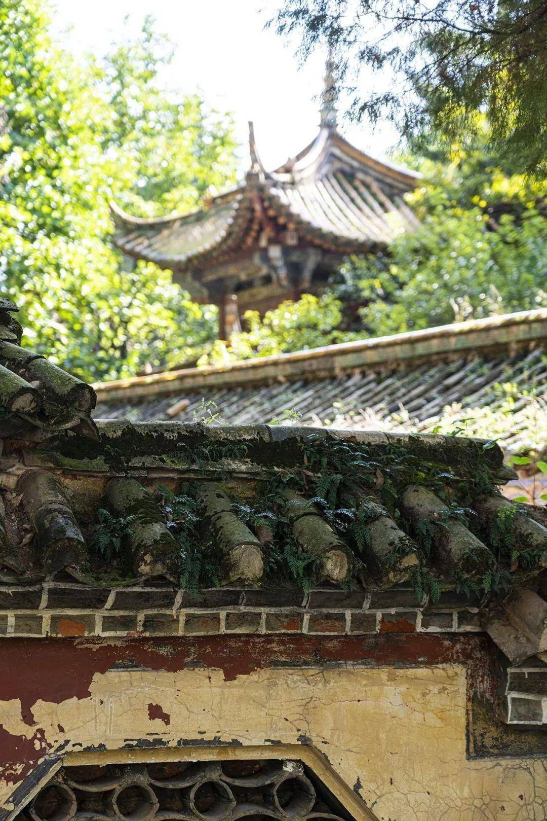 乐享云南 | 美景·昆明昙华寺公园_花木繁_前园_亭台楼阁