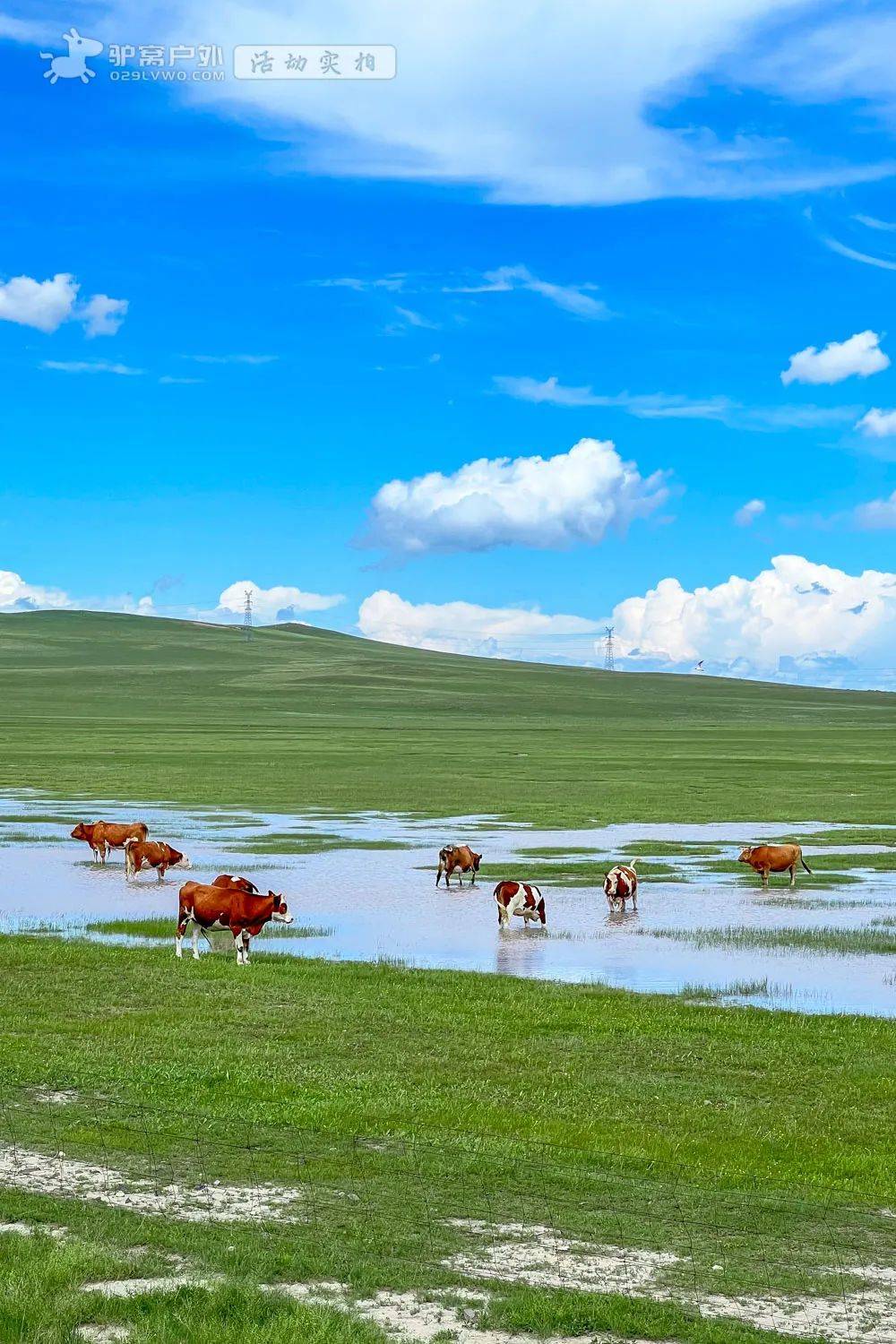 便是著名的『锡林郭勒大草原』内蒙古高原的中部地带,在乌兰察布和