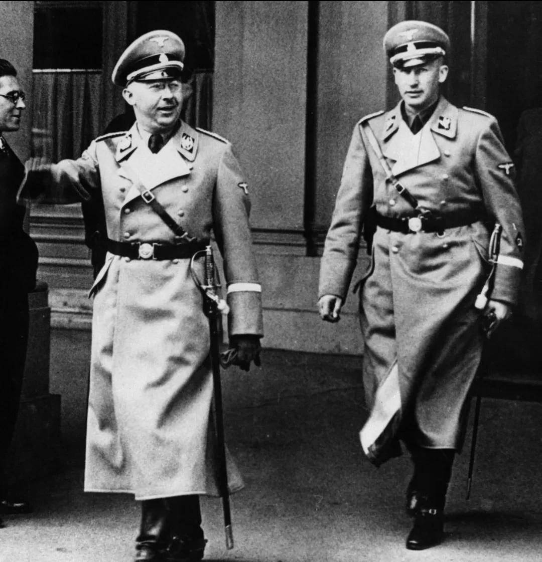 希特勒_大卫_调查