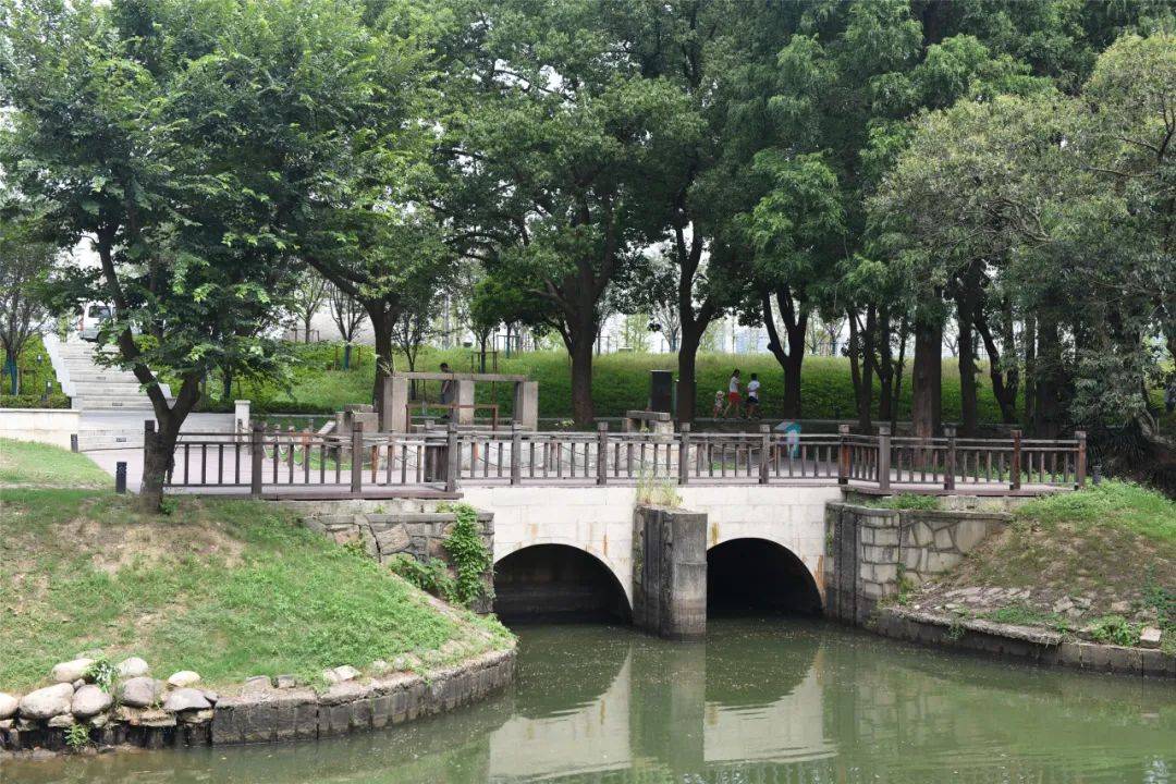 徜徉在苏州万公堤,时光森林绿意盎然,夏季荷香四溢,快来打卡吧_吴江