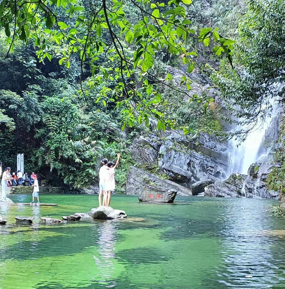 【肇庆鼎湖山】每周四六日出发:"北回归线上的绿宝石",避暑纳凉之处