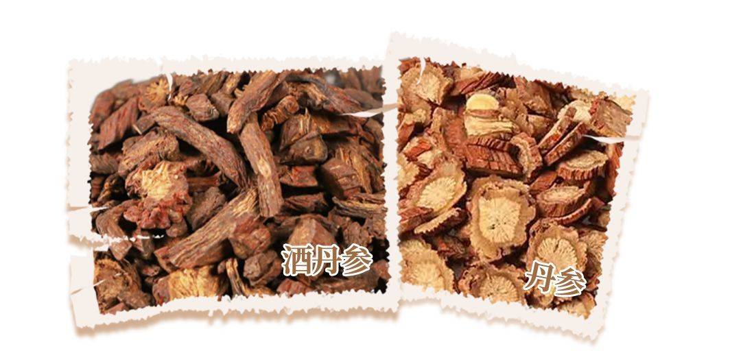 参财有道——酒丹参_功效_症状_药品