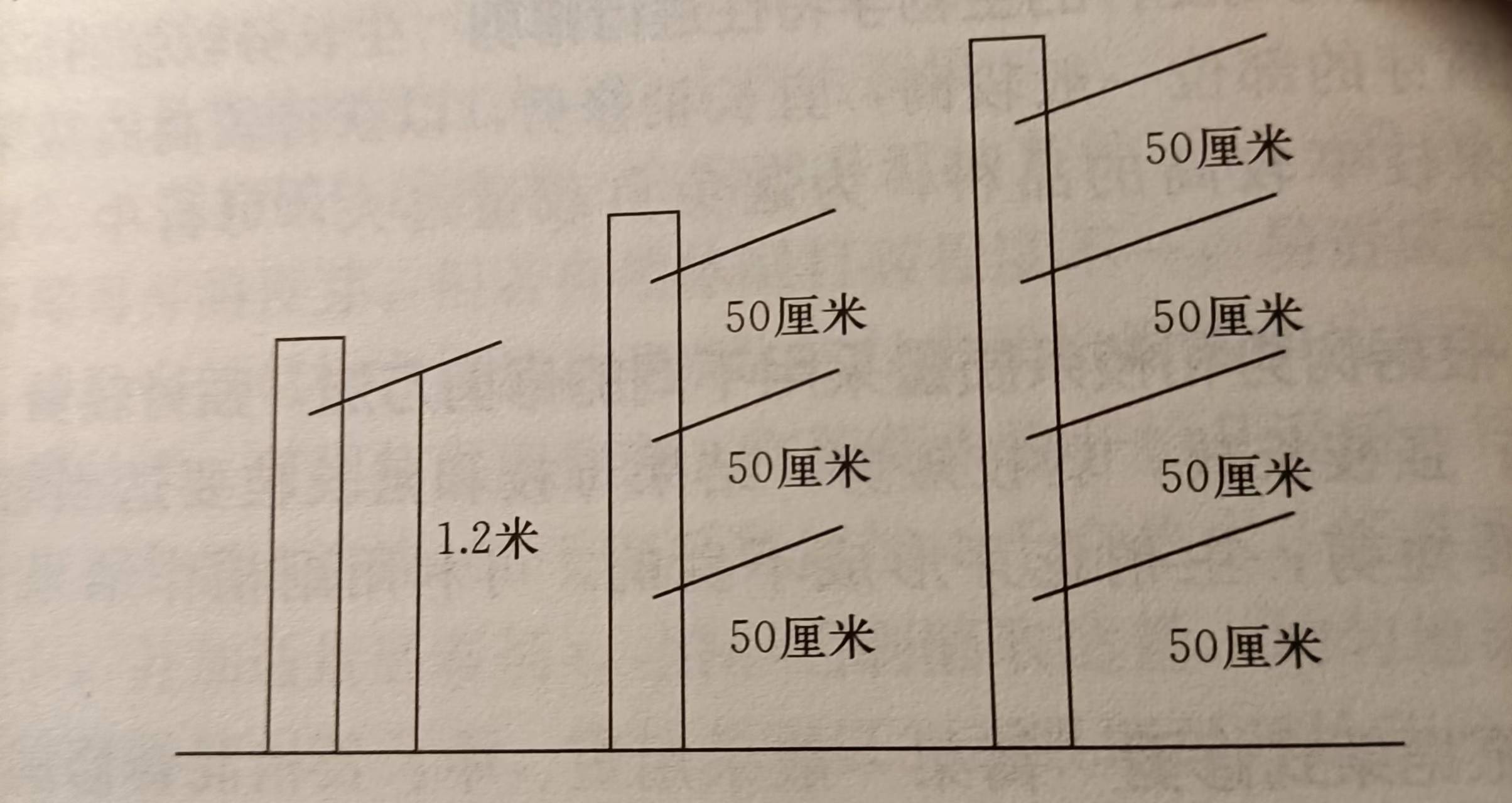 葡萄单篱架修剪图解图片