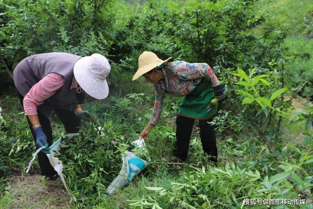 云南巧家炉房新闻图片